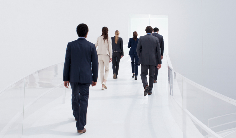 Executive Search